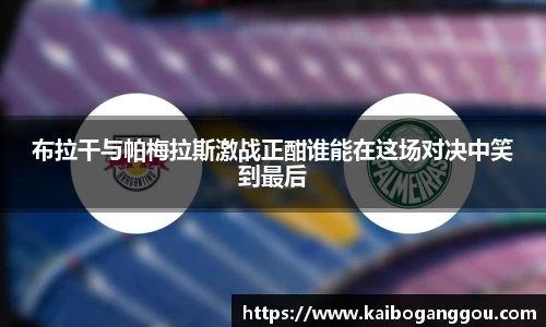 zoty中欧官方网站